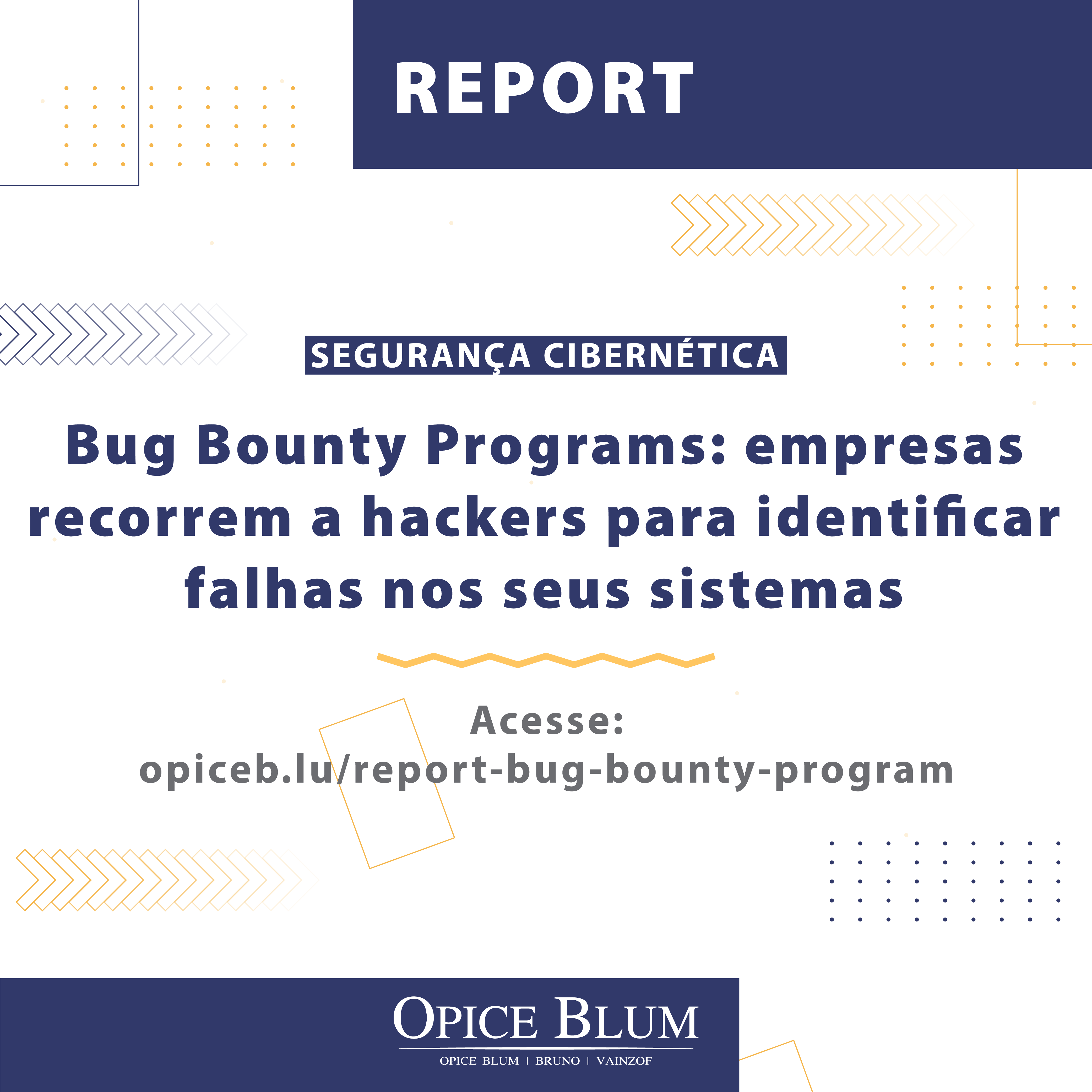 bug bounty_Report