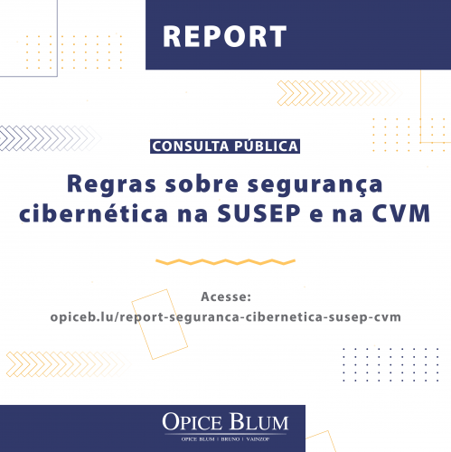 SUSEP E CVM_Report_Report